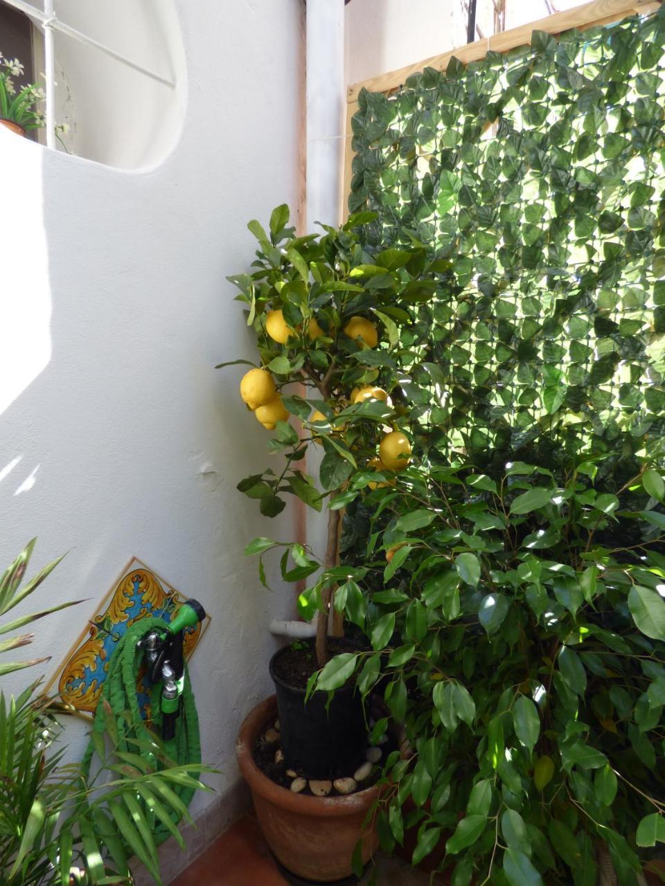 Casa Sicana Palermo Zewnętrze zdjęcie